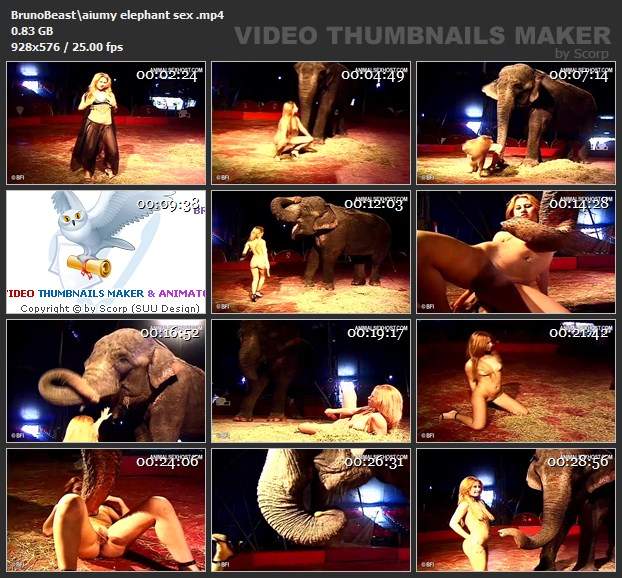DVDs xoxota Filmes para Download Mad GloryQuest Japones sexo com cachorro O javali gozador na buceta da garota nova cachorro de pau duro Cachorro dá um nó na buceta da e engata o pinto até gozar